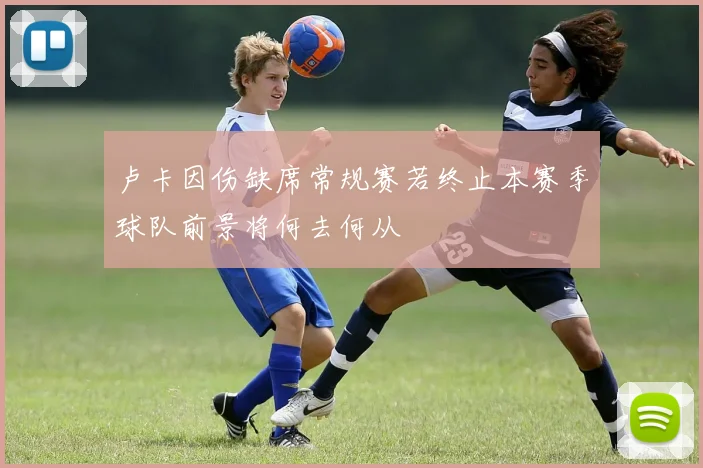 卢卡因伤缺席常规赛若终止本赛季球队前景将何去何从